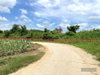 listing thumbnail image 13