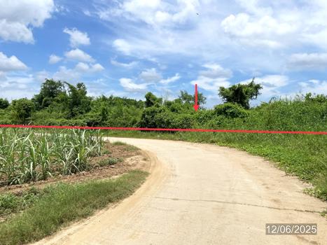 picture LAND 1271.2 Sq.w. Sawankhalok Sukhothai for 4.2M - 14/17