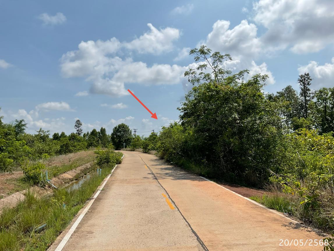 รูป โกดัง 4800 ตร.วา พิบูลมังสาหาร อุบลราชธานี 6.4M - รูปที่ 26/31