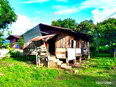 บ้านเดี่ยว แม่จัน เชียงราย : บ้านเดี่ยว 288 ตร.วา แม่จัน เชียงราย 937,000