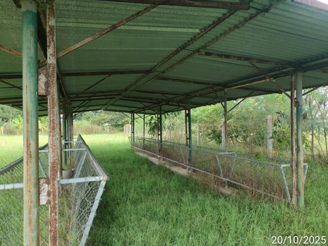 picture FACTORY 12659 Sq.w. Phayakkhaphum Phisai Maha Sarakham for 5.4M - 17/37