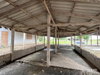 listing thumbnail image 36