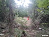 listing thumbnail image 25
