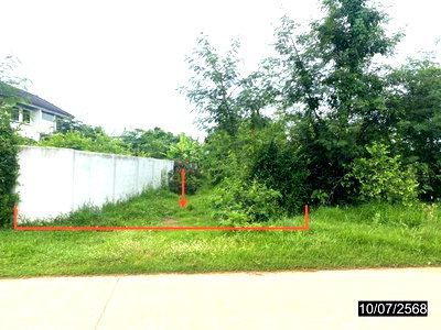 Land for sale Phitsanulok : LAND 3912.5 Sq.w. Bang Rakam Phitsanulok for 1.4M
