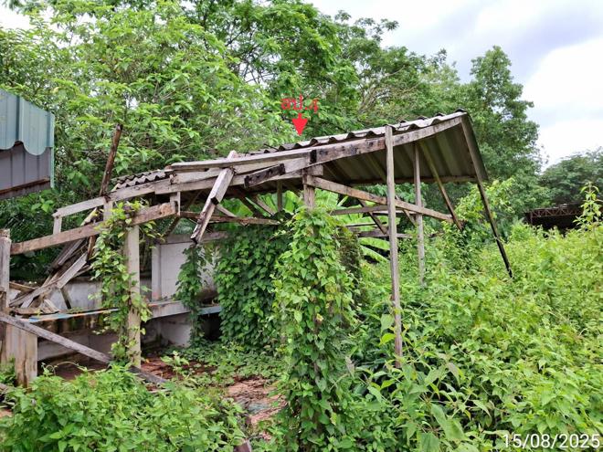 picture HOME 869 Sq.w. Na Yong Trang for 5.2M - 27/73