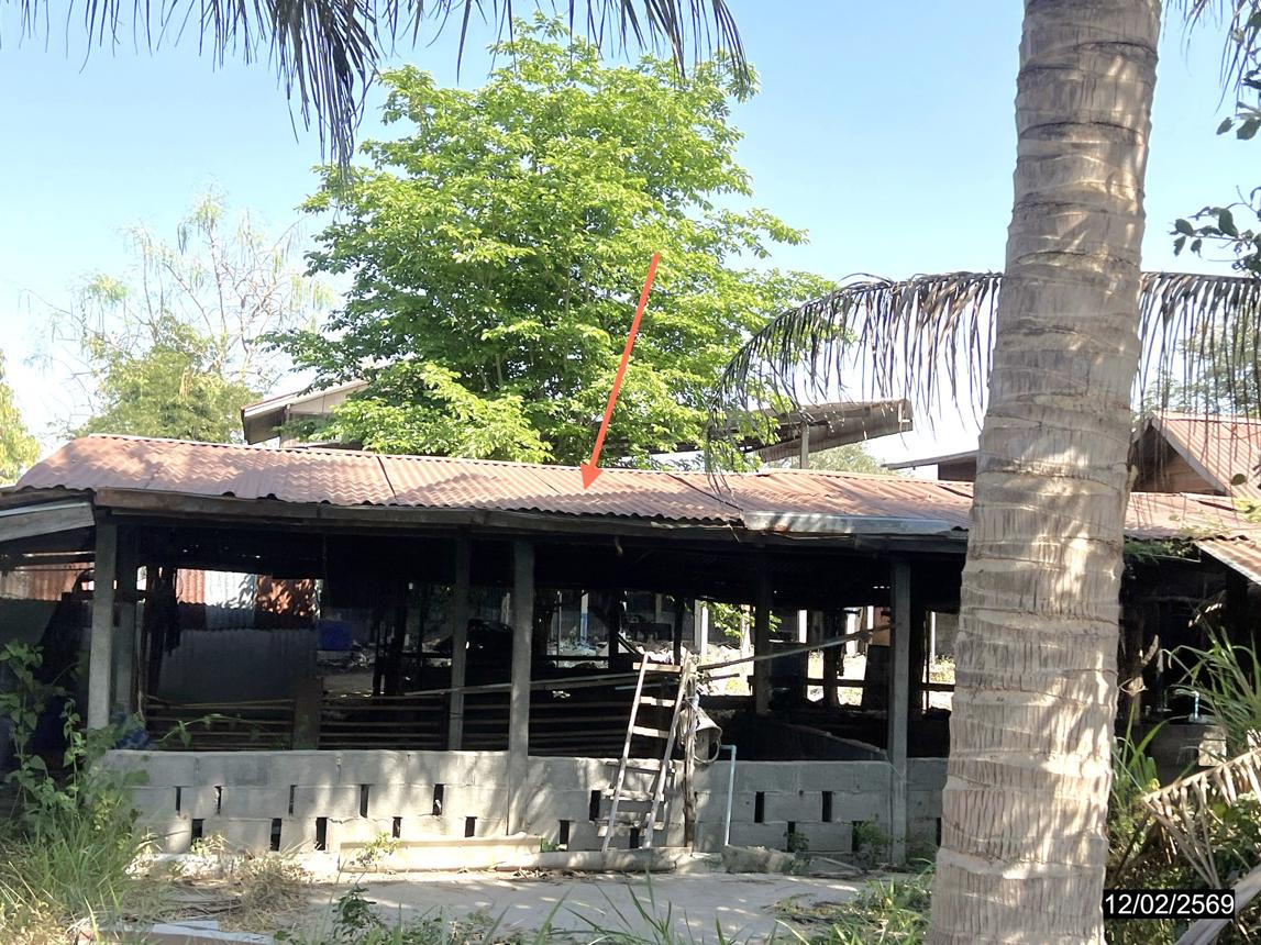 รูป บ้านเดี่ยว 830 ตร.วา บำเหน็จณรงค์ ชัยภูมิ 1.9M - รูปที่ 30/37