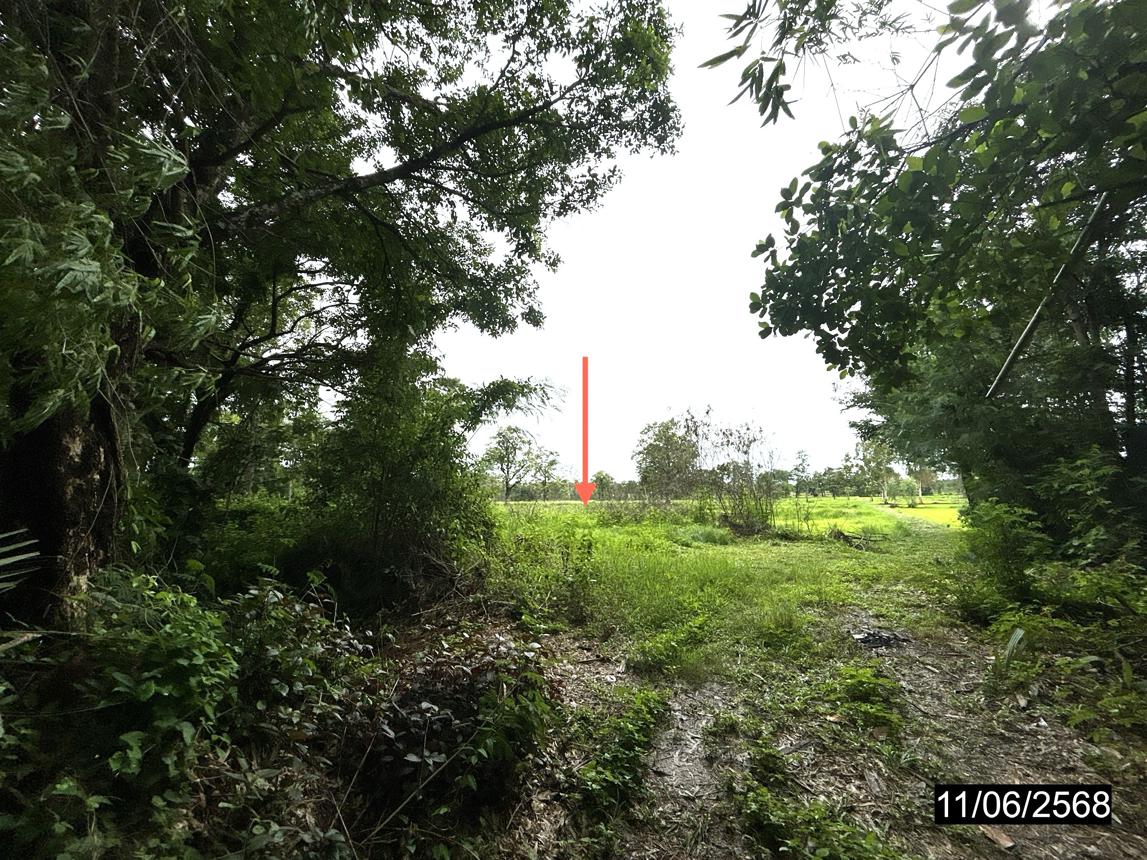 รูป ที่ดินว่างเปล่า 3793 ตร.วา วารินชำราบ อุบลราชธานี 2.2M - รูปที่ 14/25