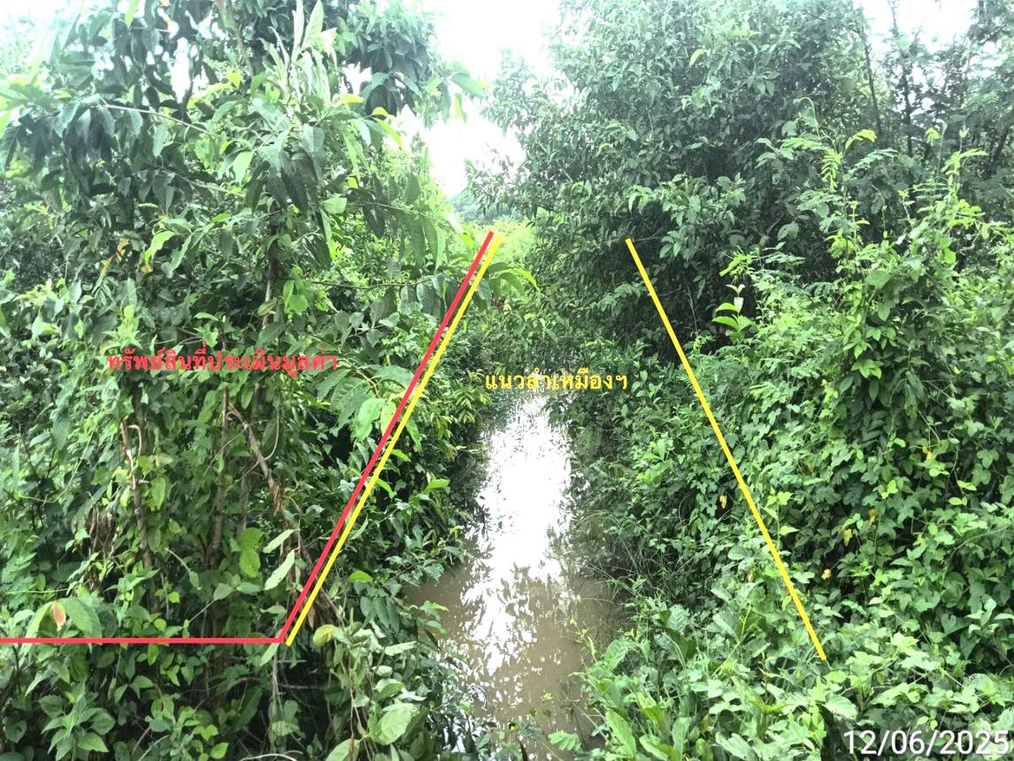 picture LAND 1299 Sq.w. San Pa Tong Chiang Mai for 1.5M - 12/19