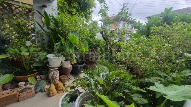 รูป บ้านเดี่ยว อินนิซิโอ มะลิวัลย์ ขอนแก่น ถูกที่สุดในโครงการ - รูปที่ 20/21