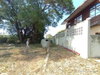 listing thumbnail image 31