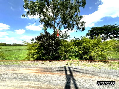 Land for sale Kaset Wisai Roi Et : LAND 1106 Sq.w. Kaset Wisai Roi Et for 1.1M