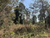 listing thumbnail image 24