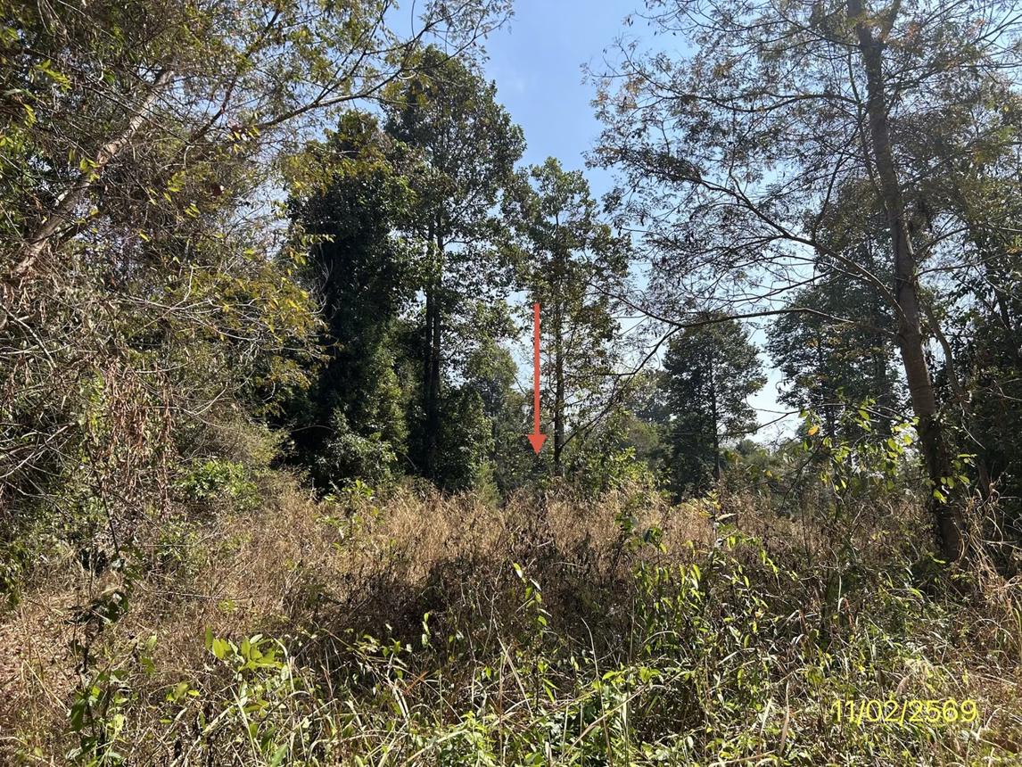 รูป โกดัง 8948 ตร.วา เดชอุดม อุบลราชธานี 13.7M - รูปที่ 25/31