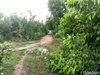 listing thumbnail image 14
