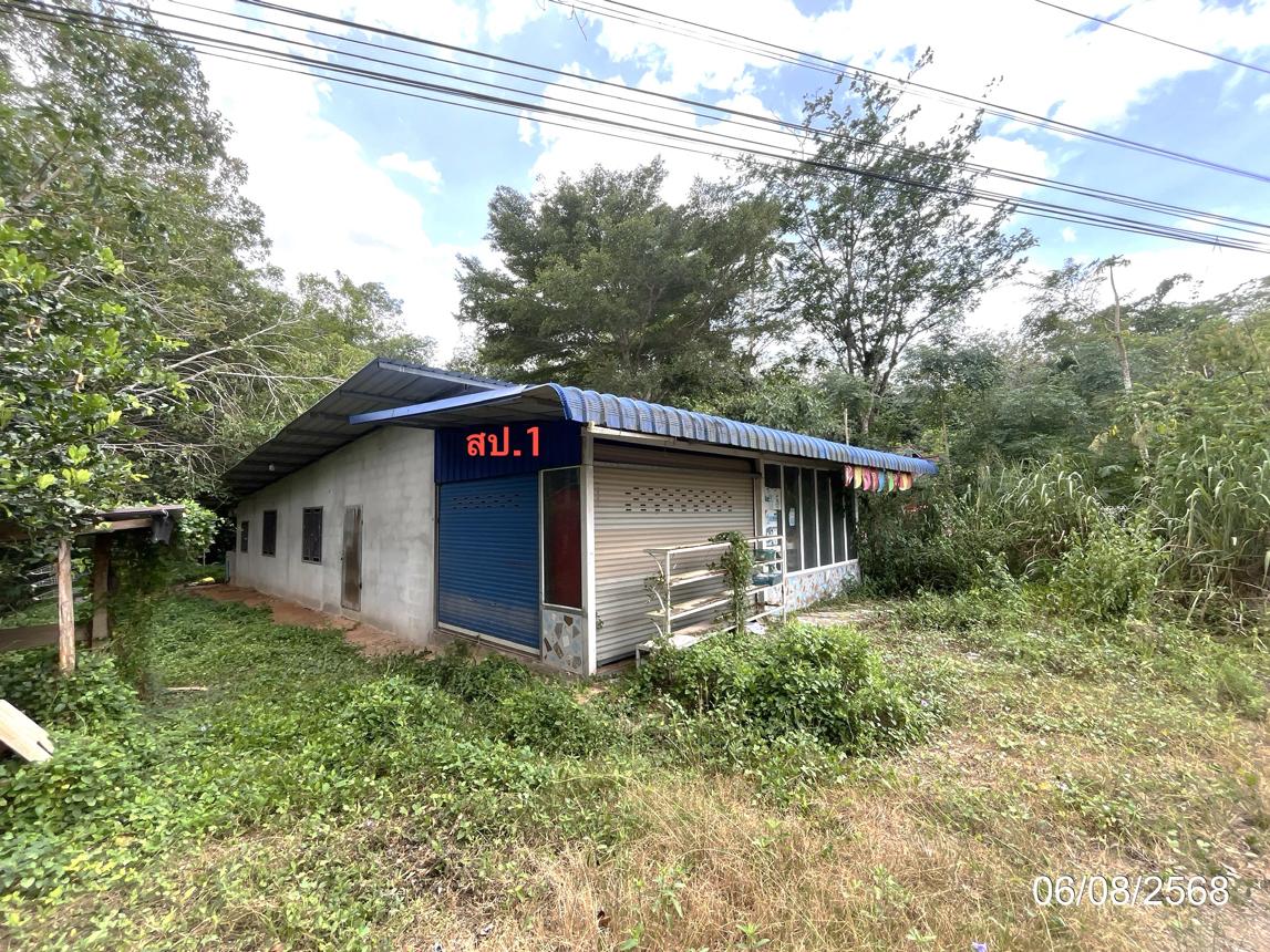 รูป บ้านเดี่ยว 110 ตร.วา พุนพิน สุราษฎร์ธานี 1.8M - รูปที่ 11/21