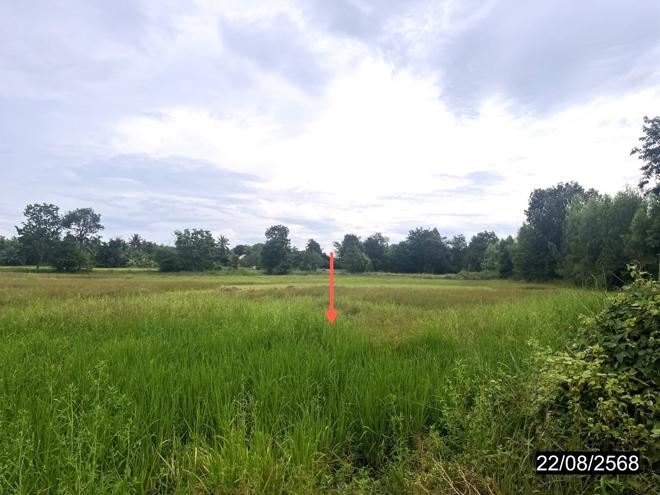 picture LAND 4242 Sq.w. Yang Si Surat Maha Sarakham for 2.8M - 5/19