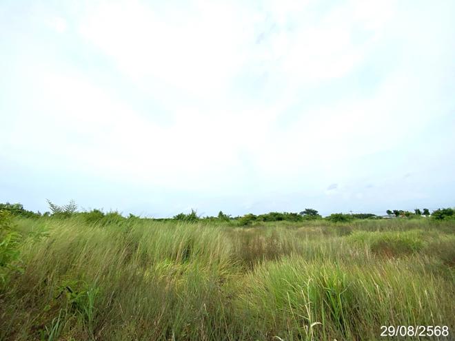 picture LAND 1016.8 Sq.w. Ban Bung Chonburi for 13.6M - 7/17