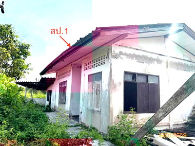 บ้านเดี่ยว สุราษฎร์ธานี : บ้านเดี่ยว 4945 ตร.วา กาญจนดิษฐ์ สุราษฎร์ธานี 2.3M