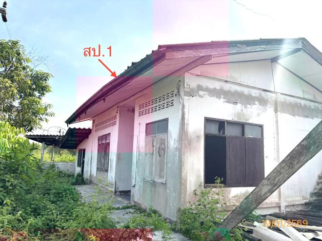 รูป บ้านเดี่ยว 4945 ตร.วา กาญจนดิษฐ์ สุราษฎร์ธานี 2.3M - รูปที่ 1/33