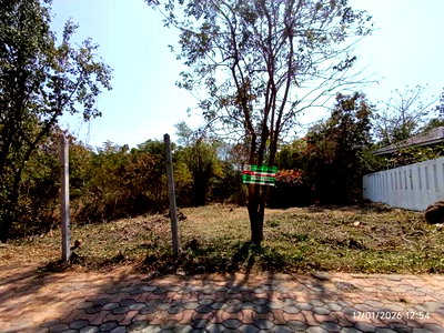 ที่ดิน หัวหิน ประจวบคีรีขันธ์ : ที่ดินว่างเปล่า 217.6 ตร.วา หัวหิน ไฮแลนด์ ซีวิว หัวหิน ประจวบคีรีขันธ์ 3.6M