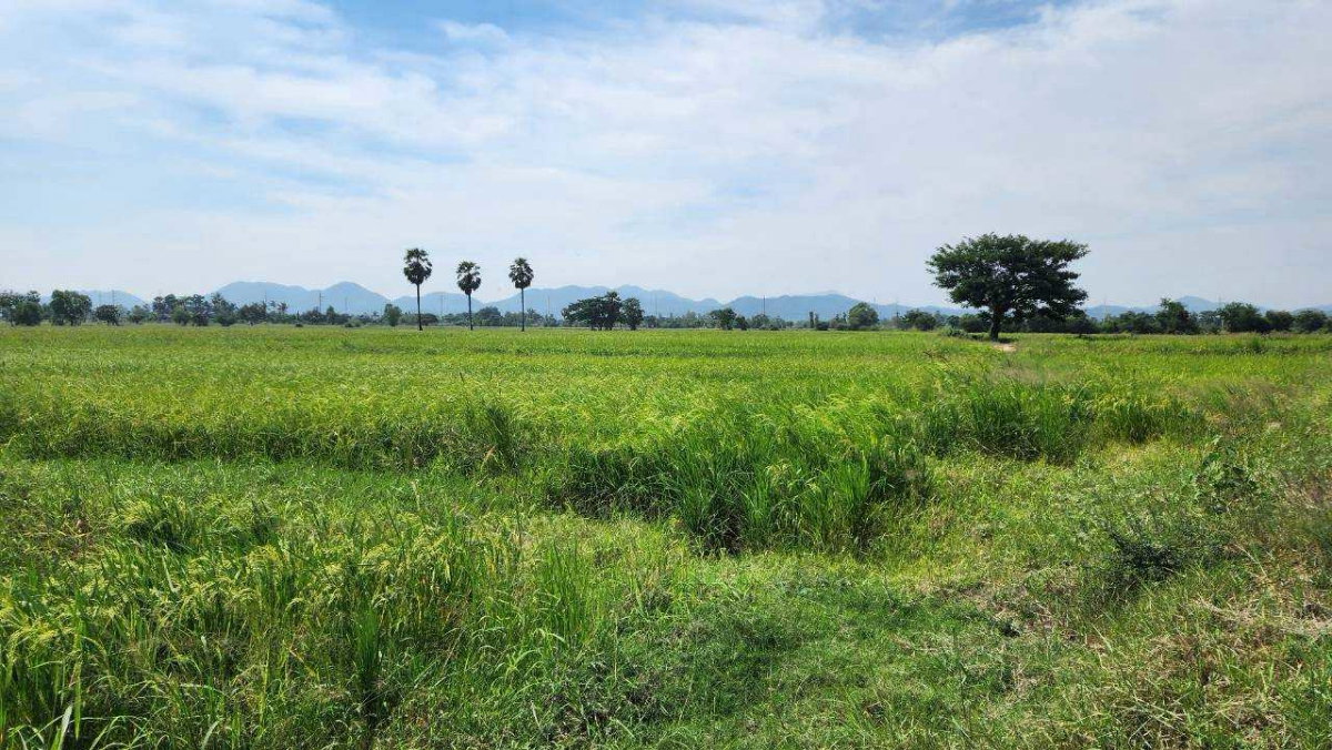 รูป ขายที่ดิน 44 ไร่ 360 ตร.ว. ติดถนนเพชรเกษม กม.143 เขาย้อย เพชรบุรี หน้ากว้าง 120 เมตร แบ่งขายได้ - รูปที่ 3/8