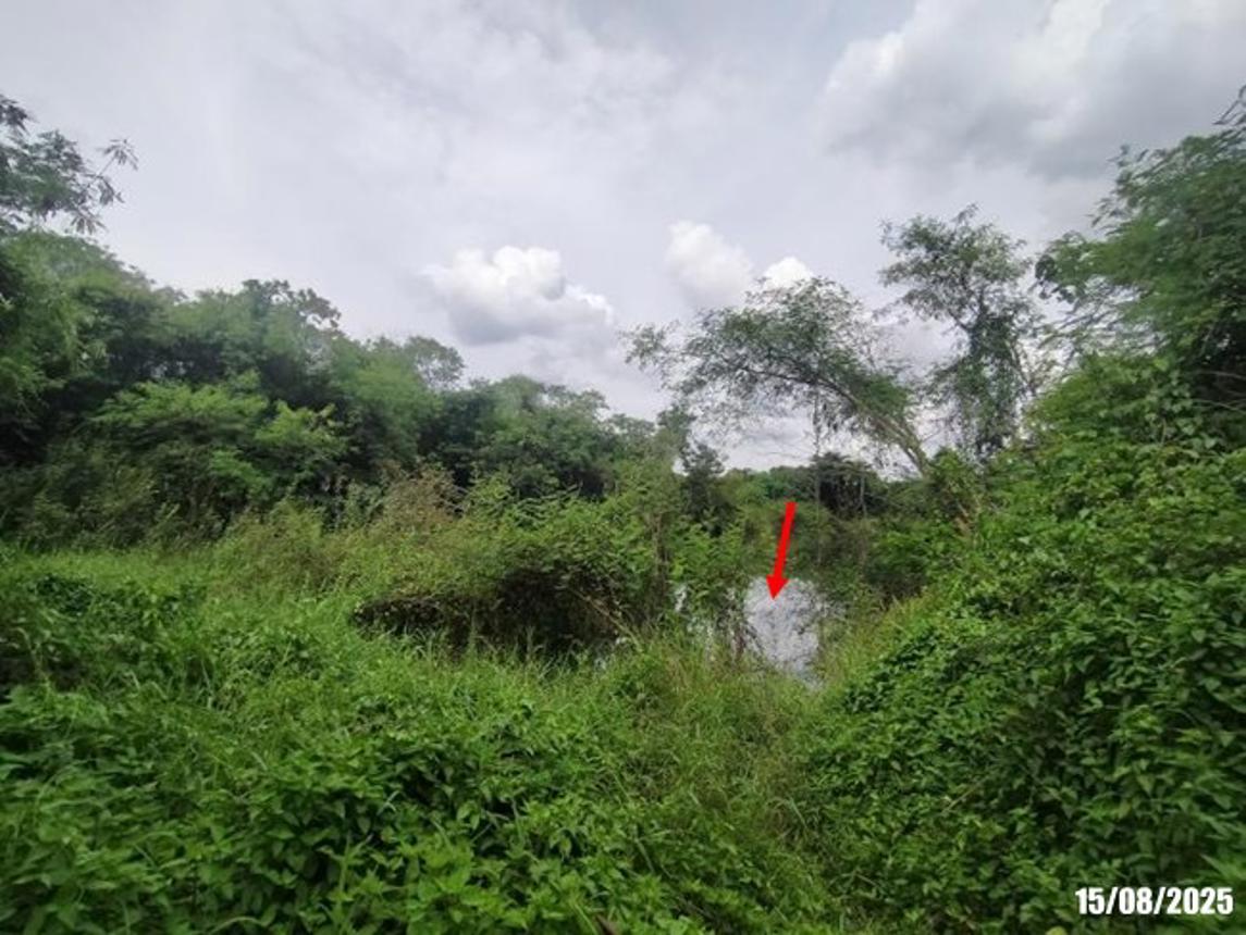 รูป โกดัง 58339 ตร.วา วังสะพุง เลย 50.1M - รูปที่ 29/35
