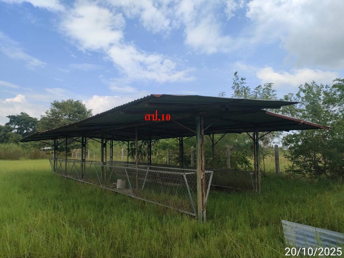 picture FACTORY 12659 Sq.w. Phayakkhaphum Phisai Maha Sarakham for 5.4M - 32/37
