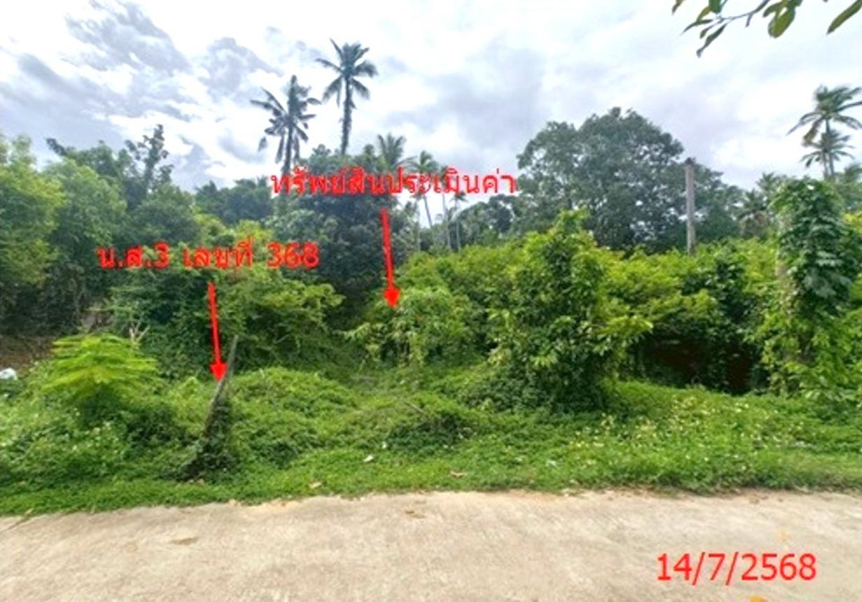 รูป ที่ดินว่างเปล่า 1708 ตร.วา เกาะสมุย สุราษฎร์ธานี 12.7M - รูปที่ 11/17