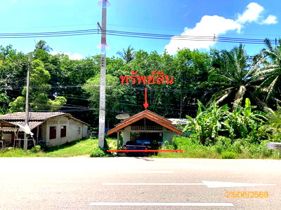 บ้านเดี่ยว สุราษฎร์ธานี : บ้านเดี่ยว 27.7 ตร.วา ชัยบุรี สุราษฎร์ธานี 546,000