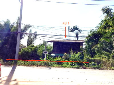 บ้านเดี่ยว สะเดา สงขลา : บ้านเดี่ยว 878.2 ตร.วา สะเดา สงขลา 16.6M