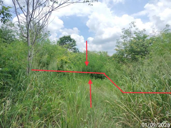 picture LAND 238 Sq.w. Muak Lek Saraburi for 333,000 - 1/19