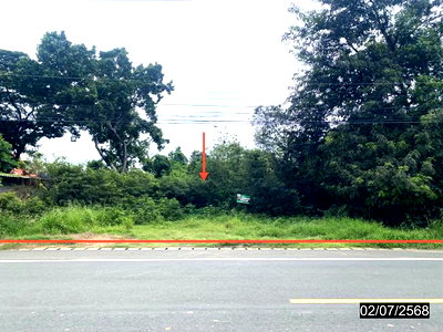 ที่ดิน ม.ราชภัฏเพชรบูรณ์ : ที่ดินว่างเปล่า 1479.8 ตร.วา เมืองเพชรบูรณ์ เพชรบูรณ์ 7.8M