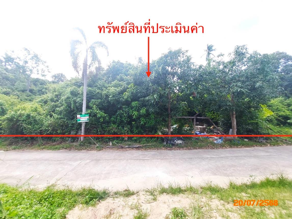 picture LAND 1519 Sq.w. Ko Samui Surat Thani for 12.6M - 7/15