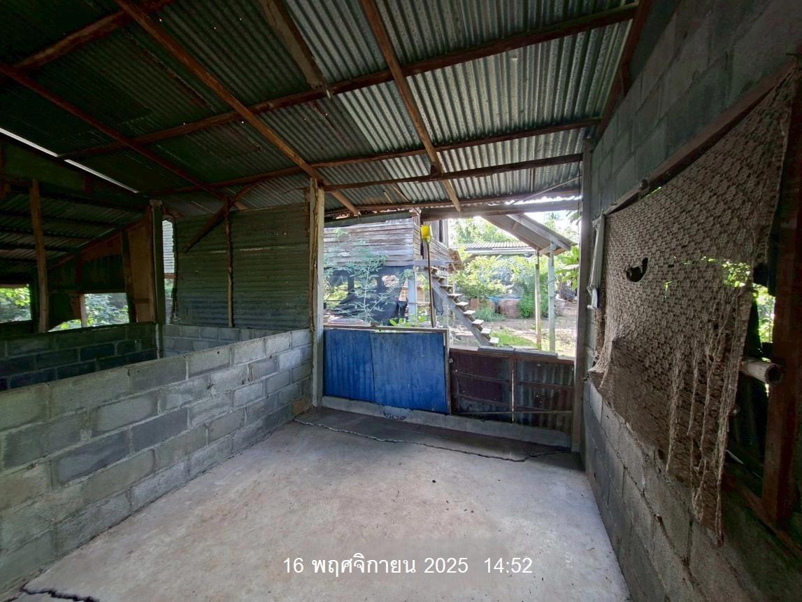 รูป บ้านเดี่ยว 117 ตร.วา หนองไผ่ เพชรบูรณ์ 303,000 - รูปที่ 17/29