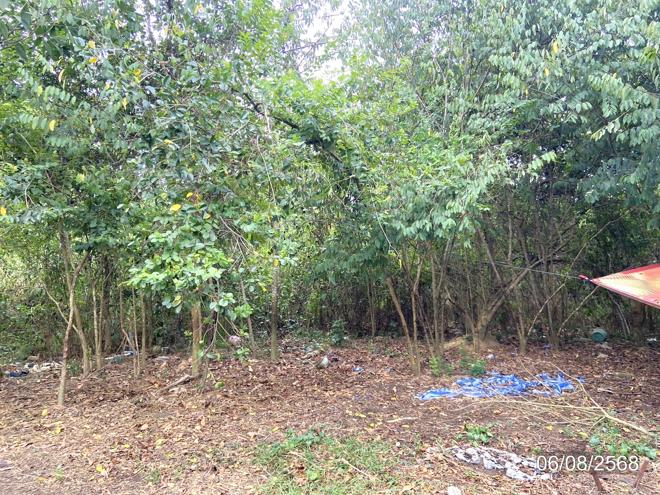 picture LAND 99.8 Sq.w. Hat Yai Songkhla for 593,000 - 7/17