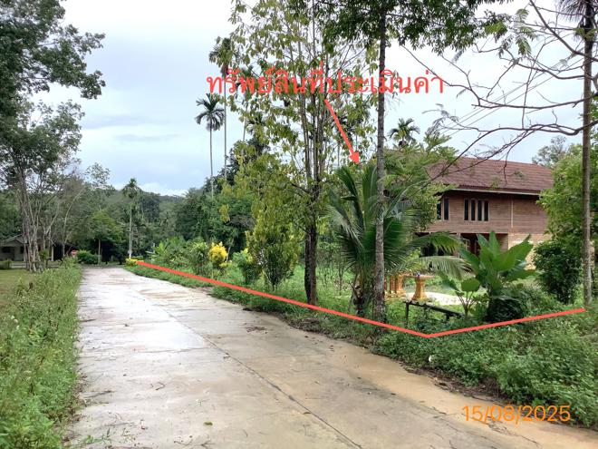 รูป บ้านเดี่ยว 383.6 ตร.วา ทุ่งสง นครศรีธรรมราช 5.5M - รูปที่ 23/51