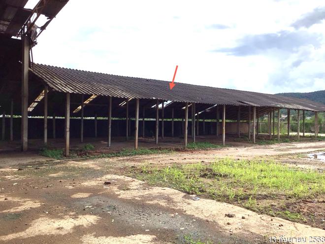 รูป โกดัง 1579 ตร.วา เวียงป่าเป้า เชียงราย 4M - รูปที่ 11/35