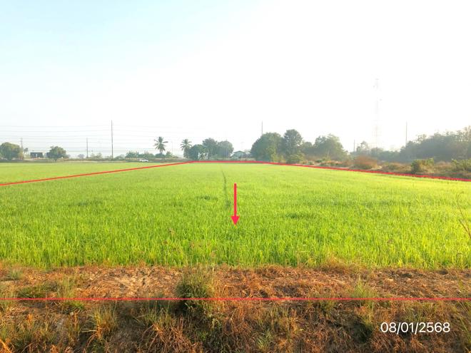 picture LAND 1523 Sq.w. Phrom Phiram Phitsanulok for 2.2M - 7/17