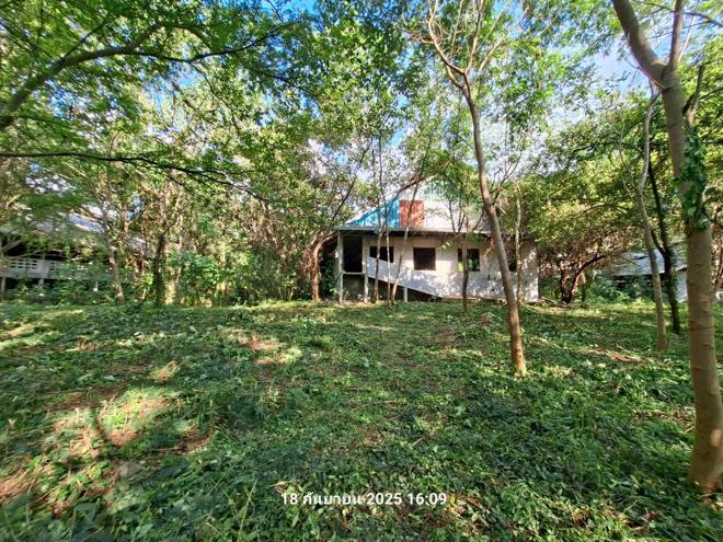 รูป ฟาร์ม 27277 ตร.วา พระพุทธบาท สระบุรี 17.6M - รูปที่ 17/43