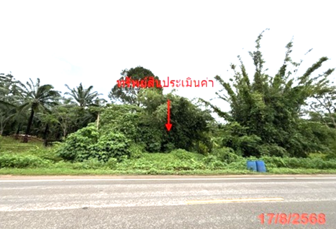 ที่ดินว่างเปล่า 365 ตร.วา เมืองกระบี่ กระบี่ 8M