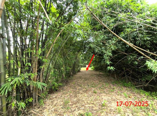 picture FACTORY 4157 Sq.w. Ko Kha Lamphang for 1.7M - 8/25