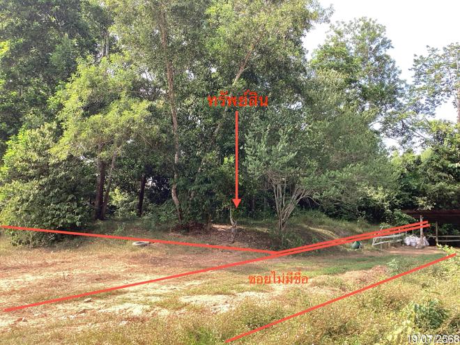 picture LAND 358.5 Sq.w. Hat Yai Songkhla for 2.2M - 2/17
