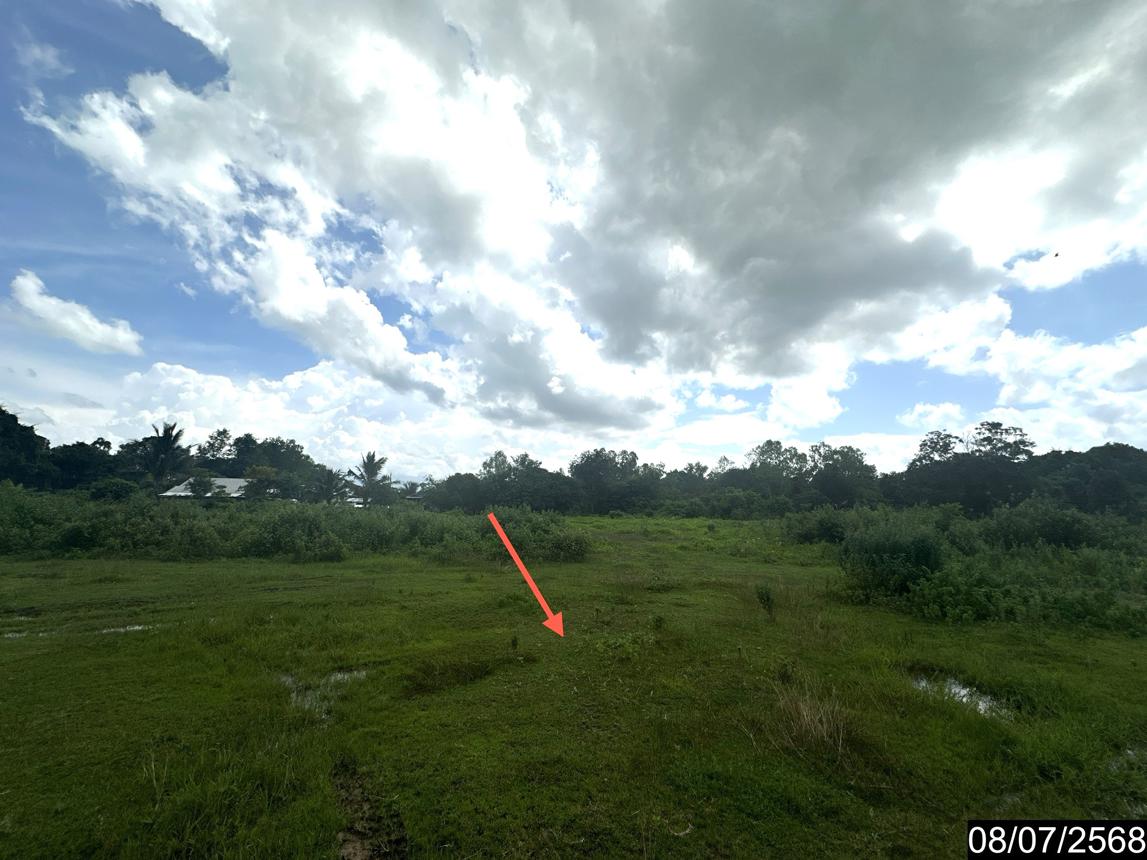 รูป ที่ดินว่างเปล่า 5451.5 ตร.วา นาจะหลวย อุบลราชธานี 8.7M - รูปที่ 17/25