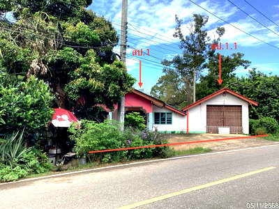 บ้านเดี่ยว สะเดา สงขลา : บ้านเดี่ยว 85 ตร.วา สะเดา สงขลา 1.7M
