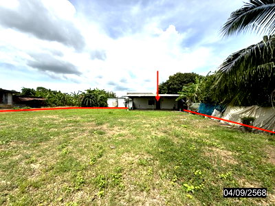 บ้านเดี่ยว บึงสามัคคี กำแพงเพชร : บ้านเดี่ยว 286 ตร.วา บึงสามัคคี กำแพงเพชร 1.4M