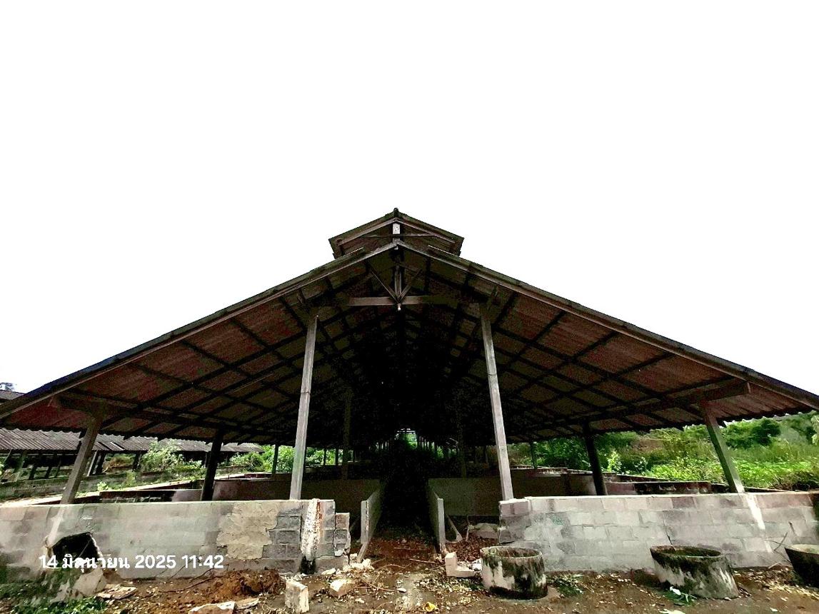 picture LAND 10017 Sq.w. Photharam Ratchburi for 12.8M - 32/37