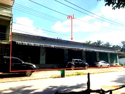 บ้านเดี่ยว สุราษฎร์ธานี : บ้านเดี่ยว 185 ตร.วา พระแสง สุราษฎร์ธานี 4M