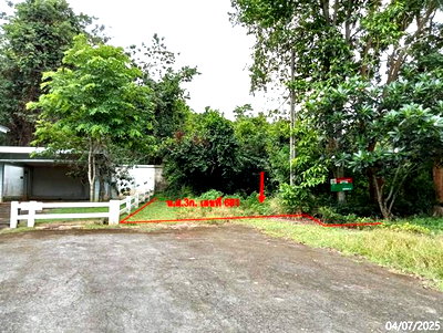 Land for sale Pak Chong Nakhon Ratchasima : LAND 200 Sq.w. Pak Chong Nakhon Ratchasima for 3.6M