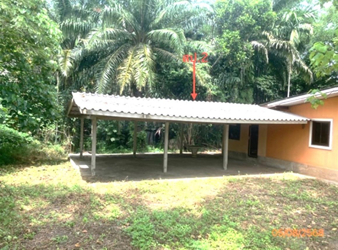 รูป บ้านเดี่ยว 224.4 ตร.วา เวียงสระ สุราษฎร์ธานี 657,000 - รูปที่ 27/33