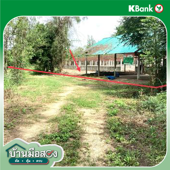 picture LAND 910.1 Sq.w. Kaeng Krachan Petchburi for 1.1M - 23/25